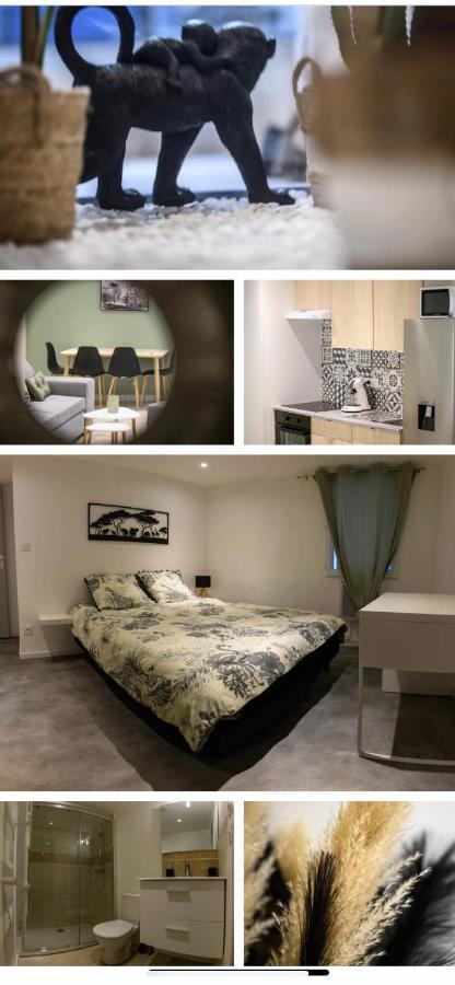 Le Boldieu- Duplex Beziers -Allee Paul Riquet- Wifi- Tv Connecte Eksteriør bilde