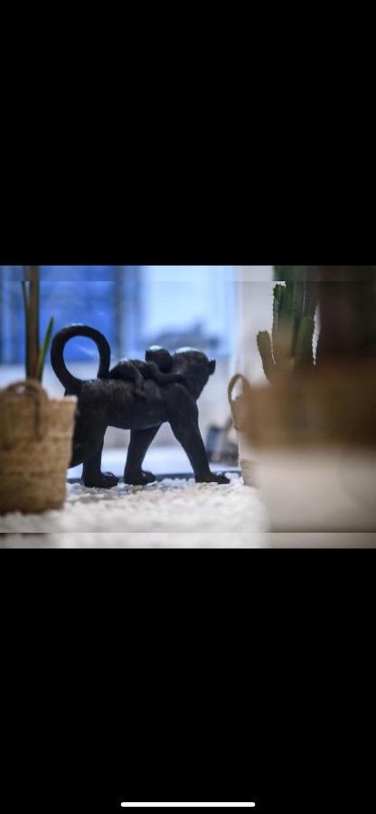 Le Boldieu- Duplex Beziers -Allee Paul Riquet- Wifi- Tv Connecte Eksteriør bilde