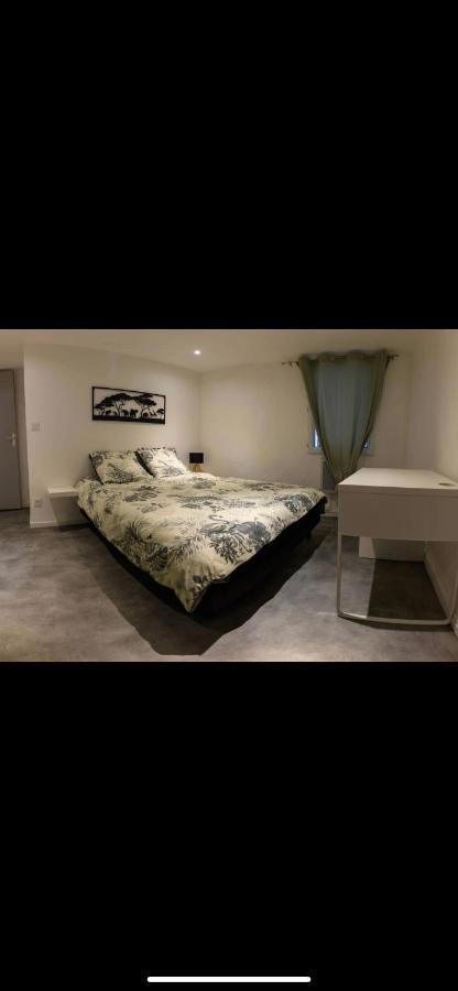 Le Boldieu- Duplex Beziers -Allee Paul Riquet- Wifi- Tv Connecte Eksteriør bilde