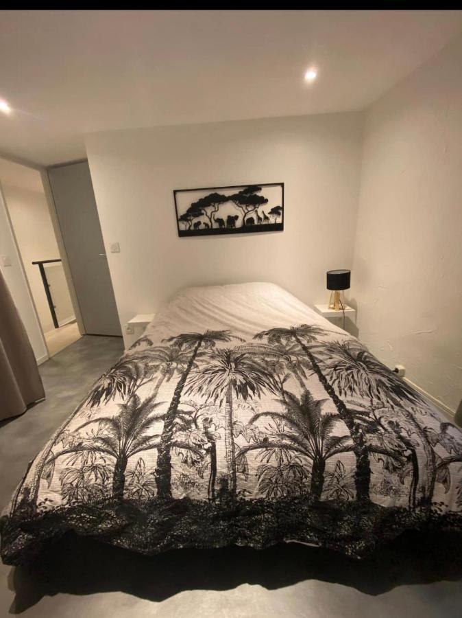 Le Boldieu- Duplex Beziers -Allee Paul Riquet- Wifi- Tv Connecte Eksteriør bilde